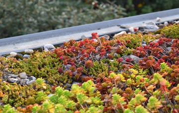 the cost of Golds Cross green roof installation